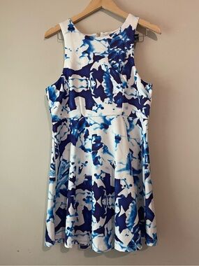 Spicy Sugar | White & Blue Dress